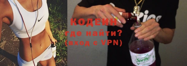 МДПВ Ельня