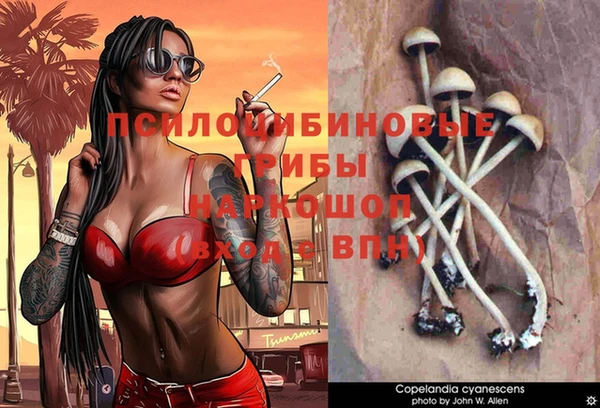 спайс Дмитровск