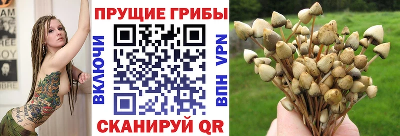 мега ONION  Первомайск  Псилоцибиновые грибы мицелий 